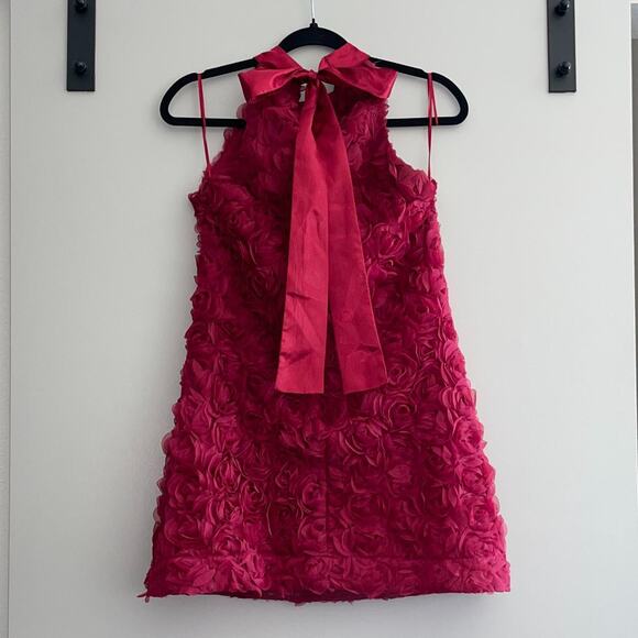 Red Roses Dress - Picture 3 of 5